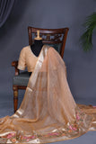 Crushed Tissue saree with an embroidered thread work border