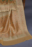 Multi colored Banarasi Georgette saree