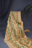 Multi colored Banarasi Georgette saree