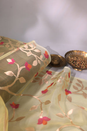 Muslin jamdaani in a beautiful shade of yellow