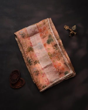 Soft organza saree in peach with a beautifully embroidered blouse