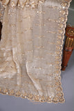 Stunning cocktail saree in champagne gold color