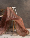 Pure organza saree with beautiful kalamkari prints