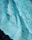 A contemporary lace saree in pastel blue with a stunning blouse pattern