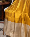 Gorgeous Golden Mustard Kanchipattu saree with contrast off white border