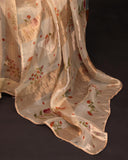 Soft Organza Tissue Saree in off white