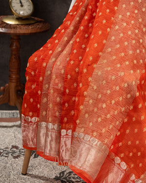 Orange Crush Tissue saree with a stunning net sleeves blouse