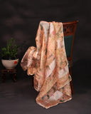 Soft organza saree in peach with a beautifully embroidered blouse