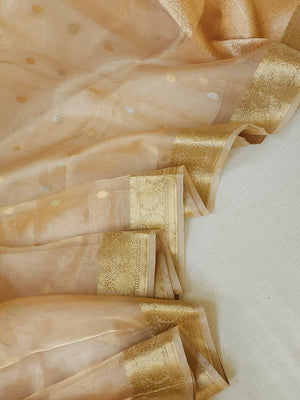 Banarasi Gold Tissue saree paired with a contrast maroon blouse