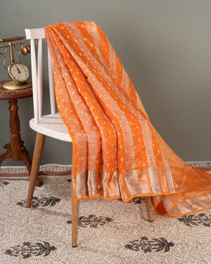 Orange Crush Tissue saree with a stunning net sleeves blouse