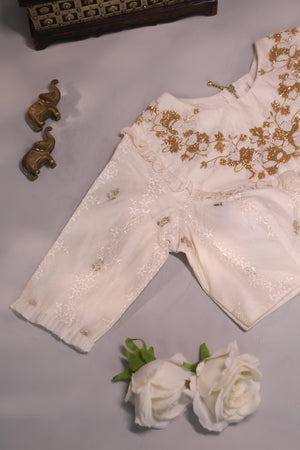Chikankari blouse with ruffles pattern neckline