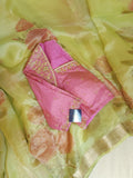 Pure tissue saree with hand painted floral appliq work