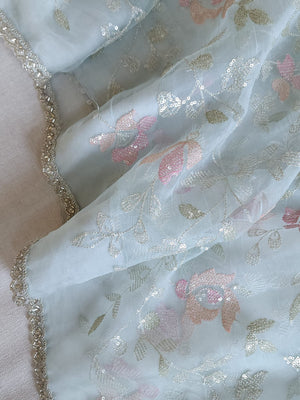 Light pastel blue pure organza saree with all over work
