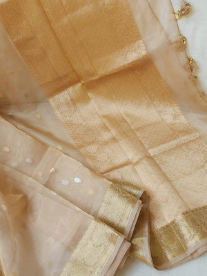 Banarasi Gold Tissue saree paired with a contrast maroon blouse