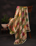 Soft organza saree in green with a beautifully embroidered blouse
