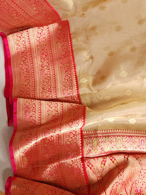 Gold Tissue Banarasi saree with a red border
