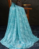 A contemporary lace saree in pastel blue with a stunning blouse pattern