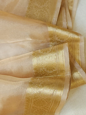 Banarasi Gold Tissue saree paired with a contrast maroon blouse