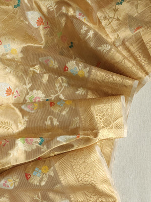Gold Banarasi Tissue saree