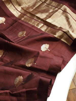 Pure raw mango silk saree in chocolate brown with mauve pink blouse