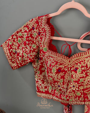 Red Banarasi saree with a heavy bridal zardosi work blouse