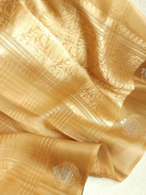 Organza saree in golden hue wit a beautiful blouse
