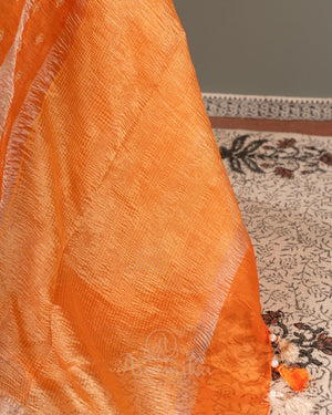 Orange Crush Tissue saree with a stunning net sleeves blouse
