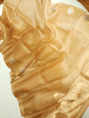 Organza saree in golden hue wit a beautiful blouse