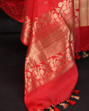 Raw Mango saree in red paired with a pink blouse