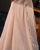 Brocade tissue georgette sarees with intricately embroidered border