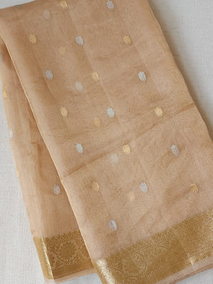 Banarasi Gold Tissue saree paired with a contrast maroon blouse