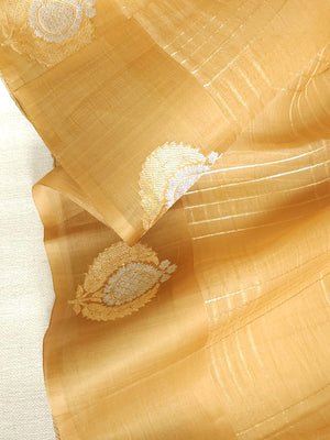 Organza saree in golden hue wit a beautiful blouse