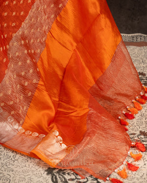 Orange Crush Tissue saree with a stunning net sleeves blouse