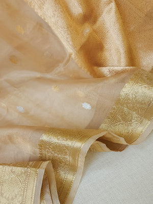 Banarasi Gold Tissue saree paired with a contrast maroon blouse