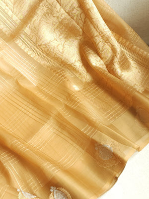 Organza saree in golden hue wit a beautiful blouse