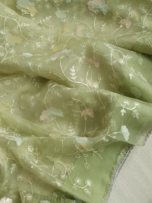 Light pastel green pure organza saree with all over work