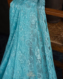 A contemporary lace saree in pastel blue with a stunning blouse pattern