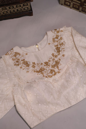 Elegant Crush Tissue saree in pink with a stunning mirror work blouse