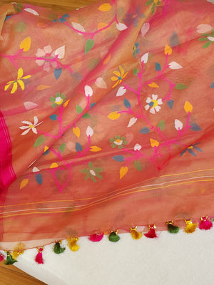 Peach Jamdaani saree with a beautiful bandini blouse