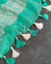 Teal green Banarasi chiffon saree with chikankari work all over