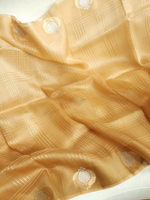 Organza saree in golden hue wit a beautiful blouse