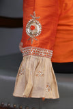 Banarasi brocade tissue saree in champagne with a beautiful light orange border