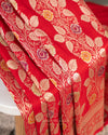 Red Banarasi Saree with a sleeveless blouse