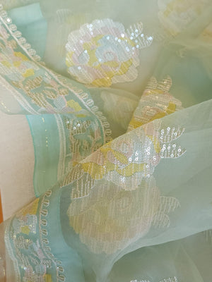 Pastel Blue soft organza saree with a mono tone blouse