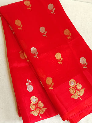 Red organza saree with a contrast blue work blouse