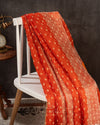 Orange Crush Tissue saree with a stunning net sleeves blouse