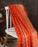 Orange Crush Tissue saree with a stunning net sleeves blouse