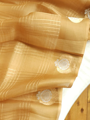 Organza saree in golden hue wit a beautiful blouse