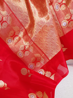 Red organza saree with a contrast blue work blouse