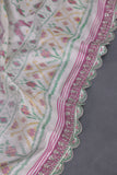 Pastel Patola with intricately designed handwork border